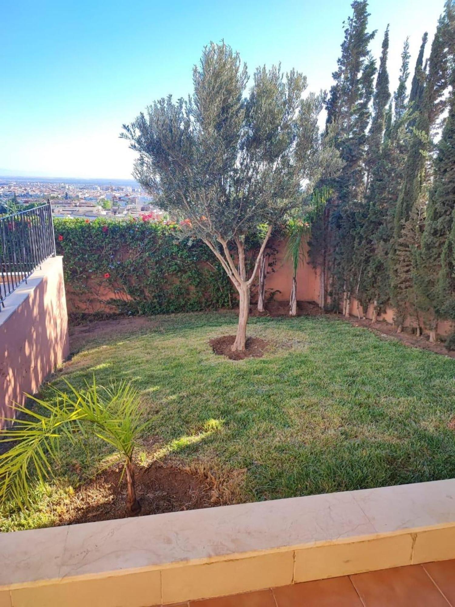Luxurious 7 Bdrms Pool T72024 Villa Agadir